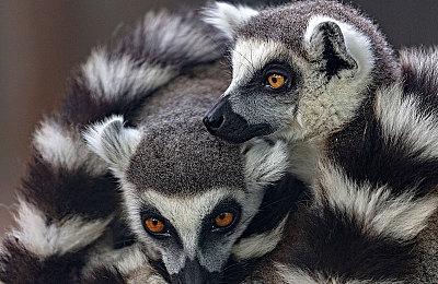 PlayStation中国ChinaJoy参展游戏阵容公布：《影之刃零》等